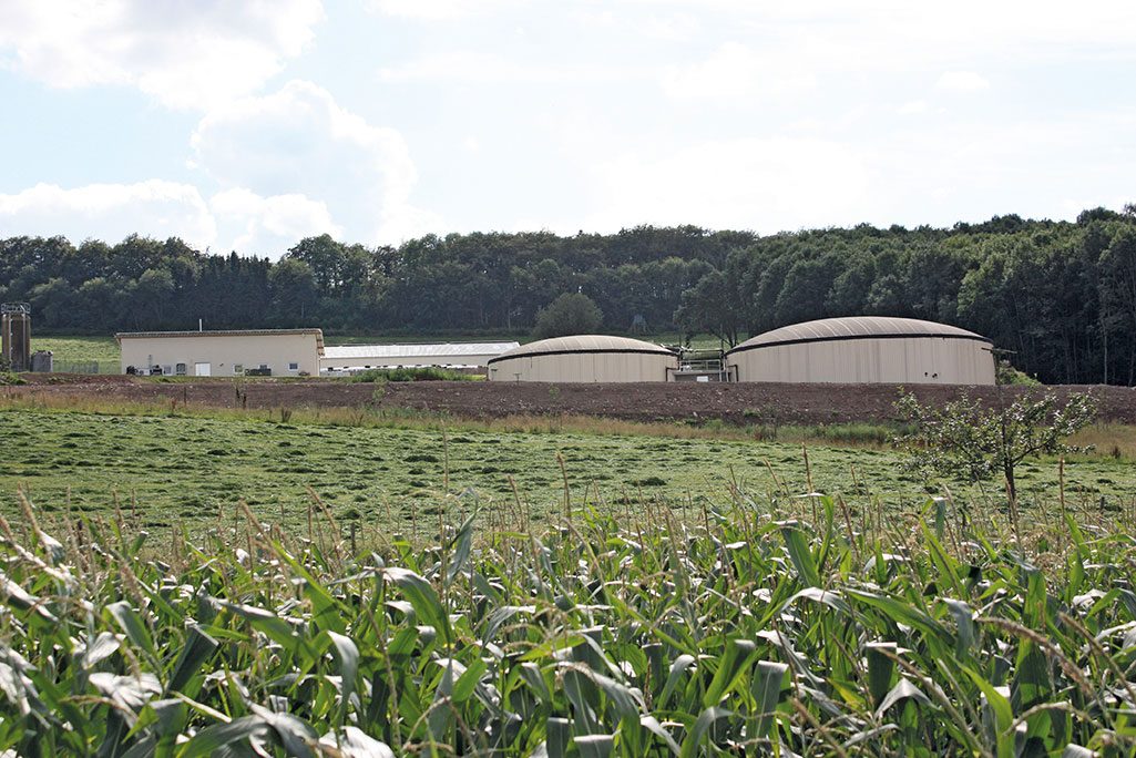 Impianto di biogas individuale a Niederbettingen, Germania